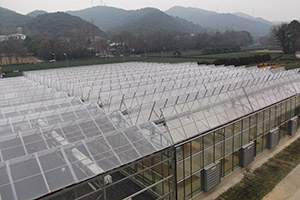 中国农业科学院茶叶研究所屋面全开启式科研温室