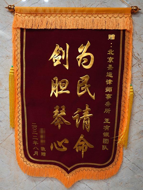 为民请命 剑胆琴心